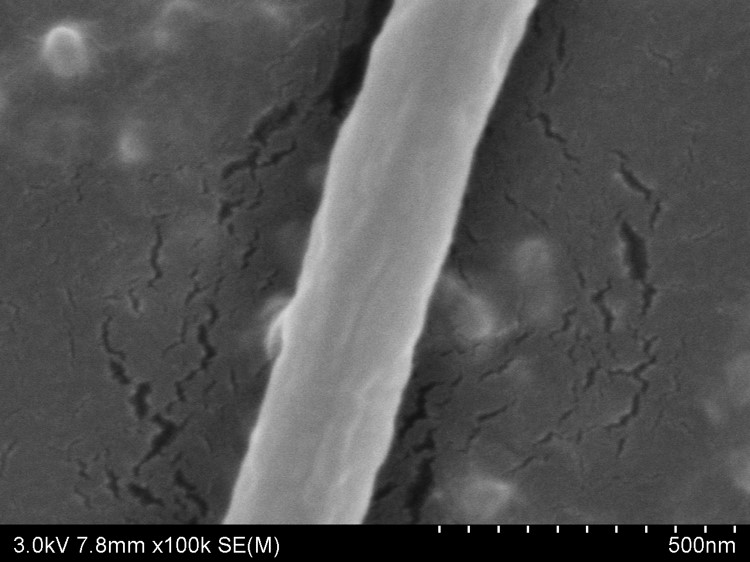 1726623476433652.jpg 圖片2.jpg